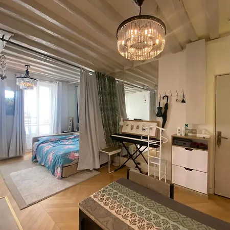 Cosy A Saint Michel-notre Dame Center With Air Condition Apartment Paris